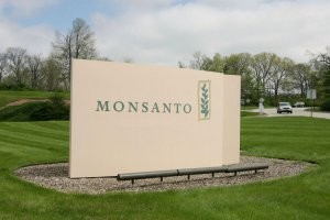 Monsanto-IMMAG