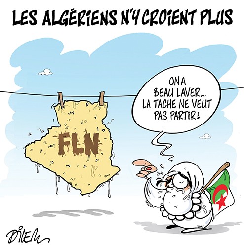 Dilem Fln Algeria